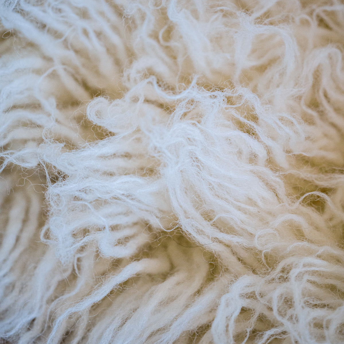 Flokati Rug 1400 Grams Thickness Arthur Cameron