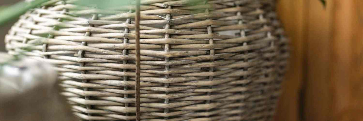 New Wicker - Arthur Cameron
