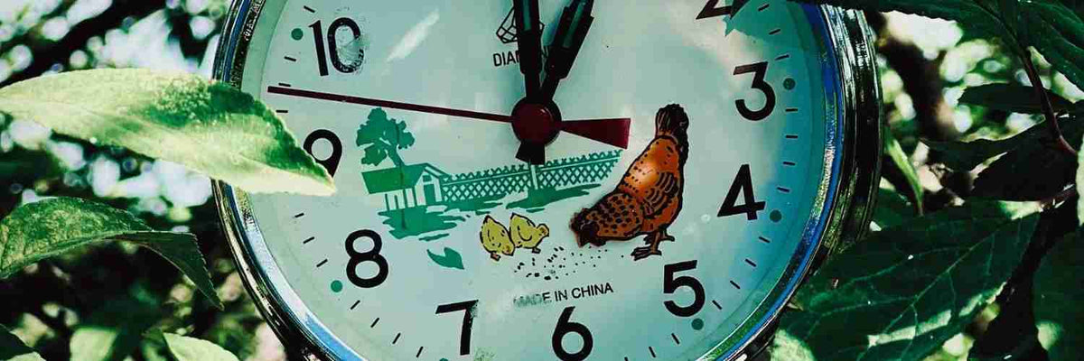 Childrens Wall Clocks - Kids Clocks – Arthur Cameron