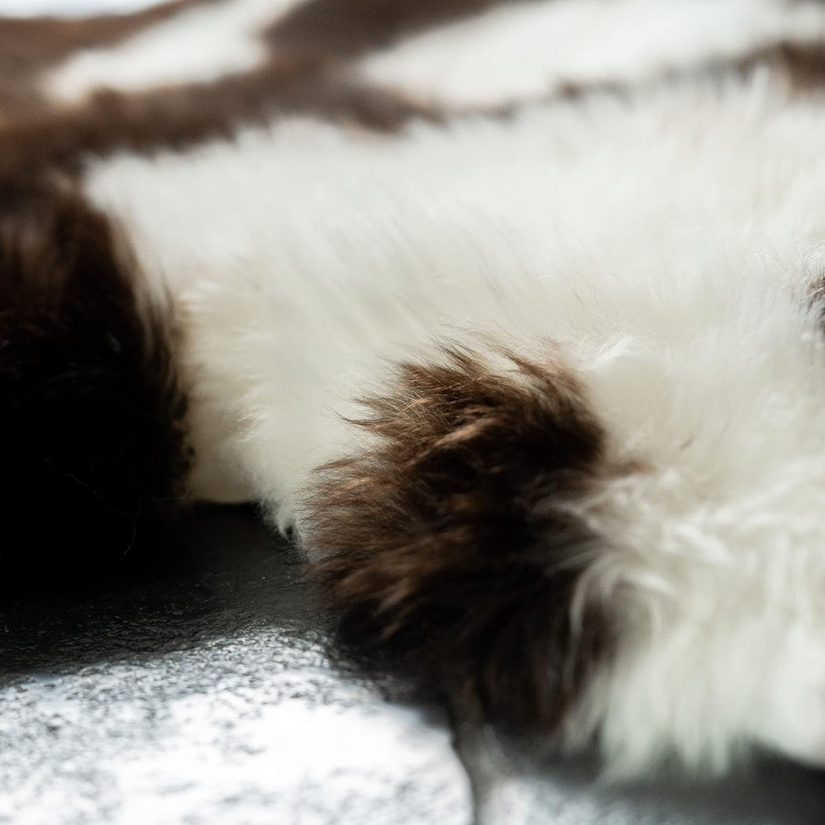 Jacob Print Single Sheepskin Rug (95x65cm) Extra Thick Large Natural ...
