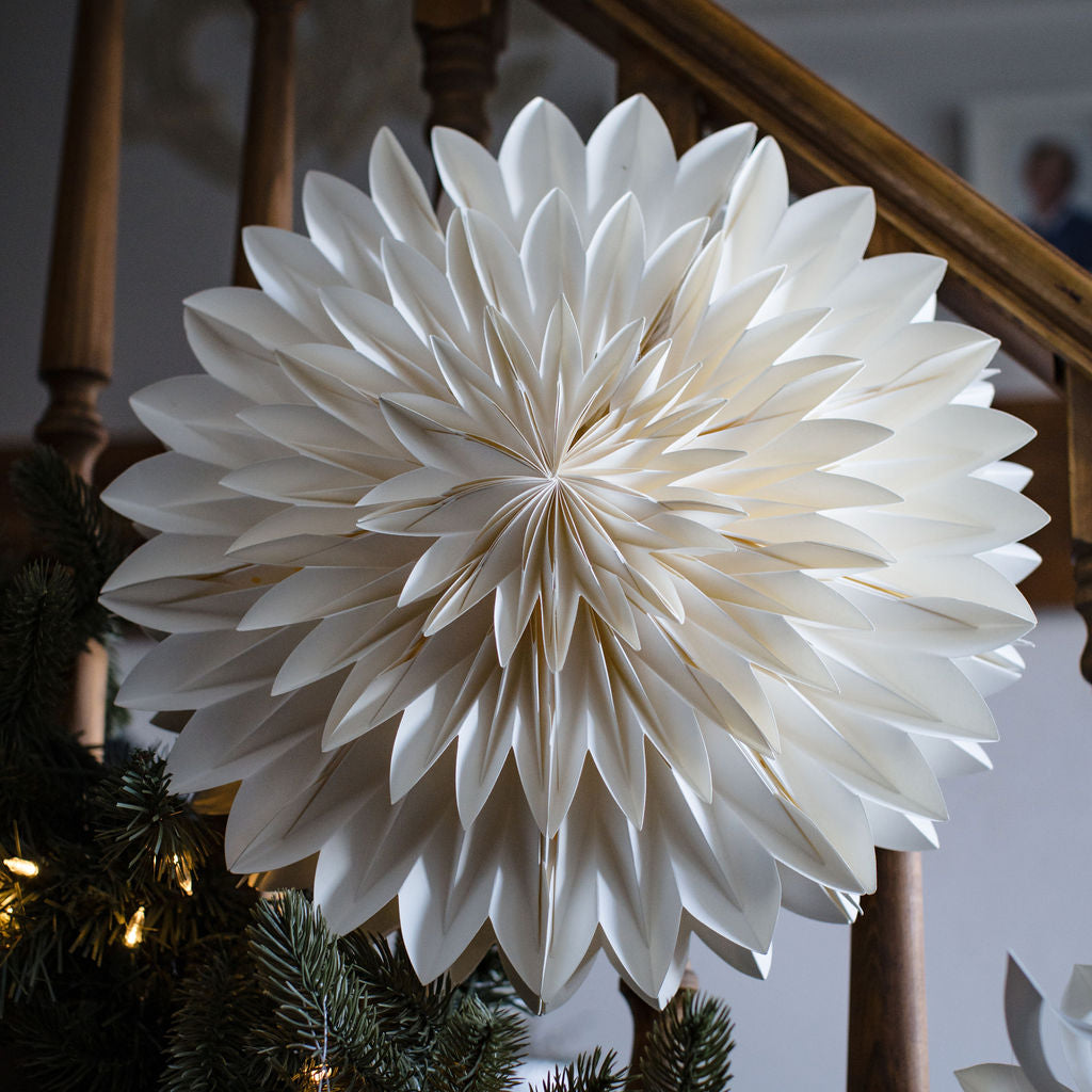 Asteraceae Wall Decoration - 40cm