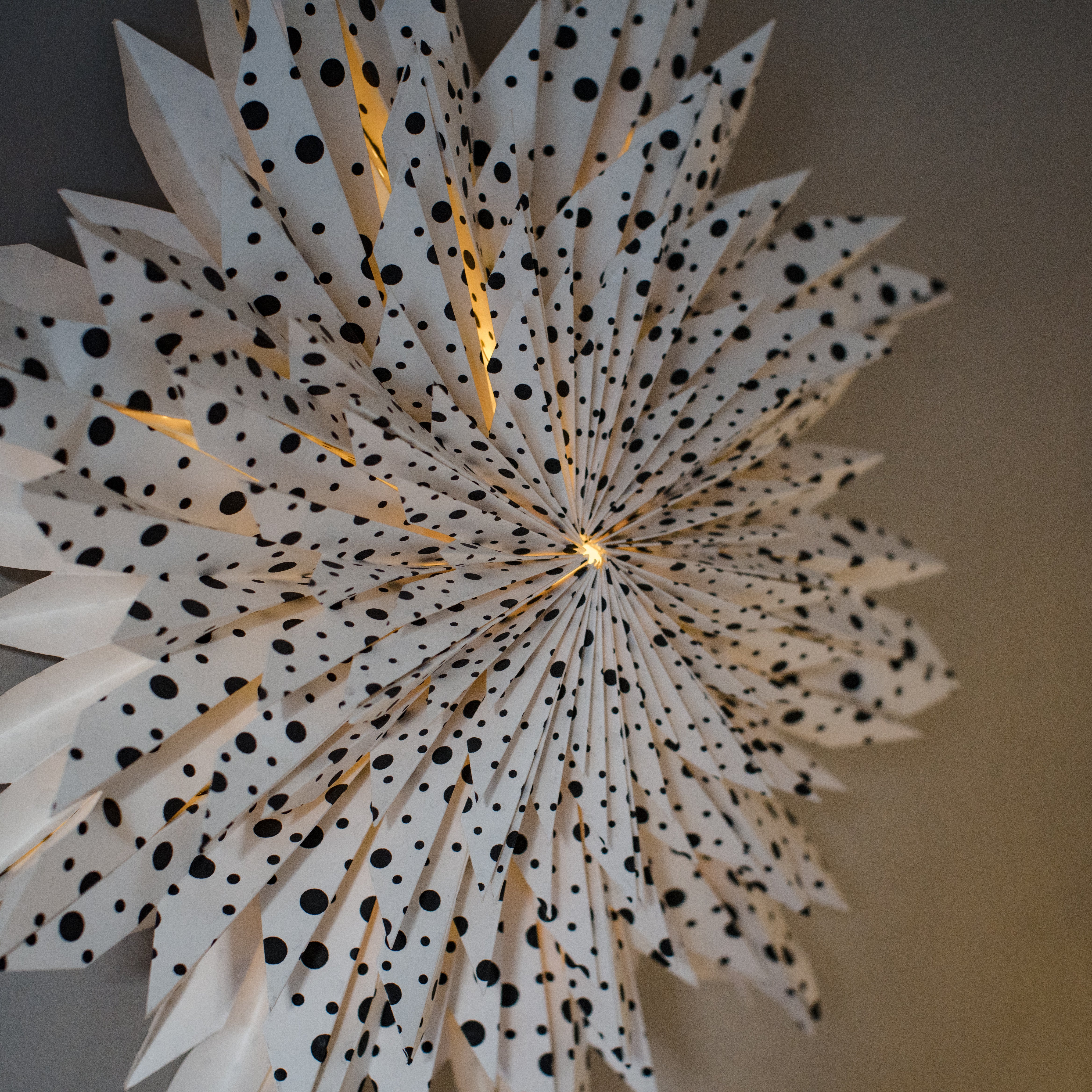 Giant Spotted Dahlia Wall Decoration - 60cm