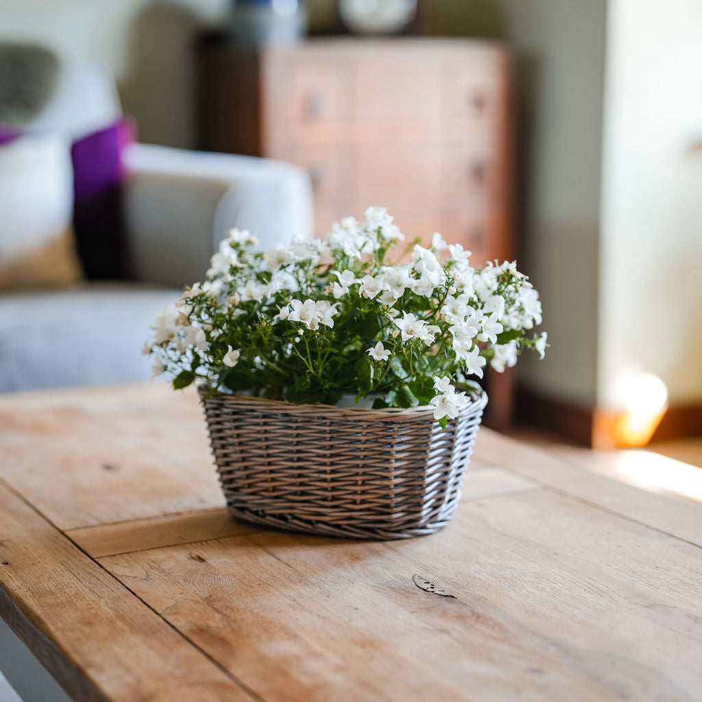 Antique Wash Oval Wicker Tabletop Planter