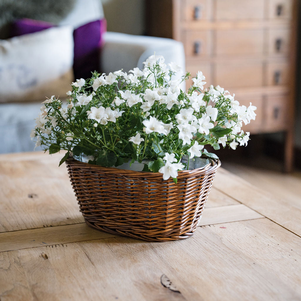 Distilled Oval Wicker Tabletop Planter