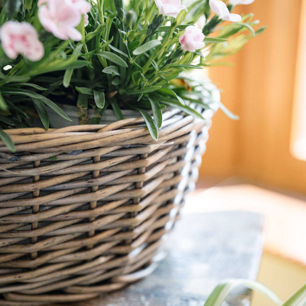 Antique Wash Oval Wicker Tabletop Planter