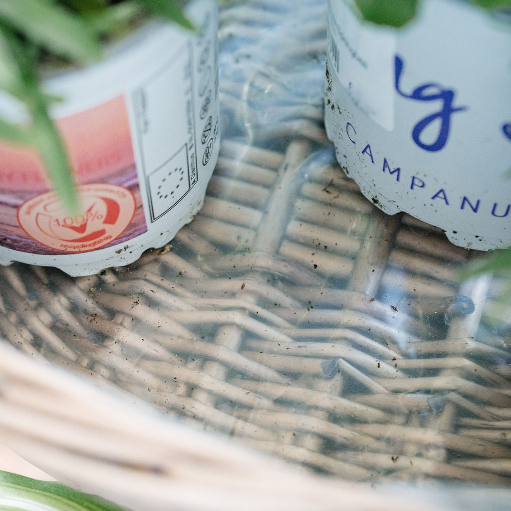 Antique Wash Oval Wicker Tabletop Planter