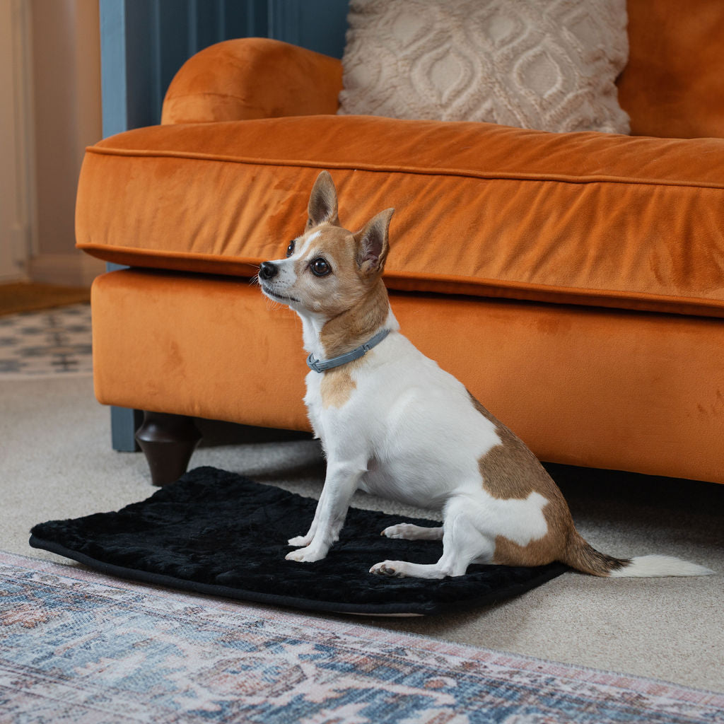 Petsl Rug Nz Black Rectangular Sheepskin Pet Rug – Arthur Cameron