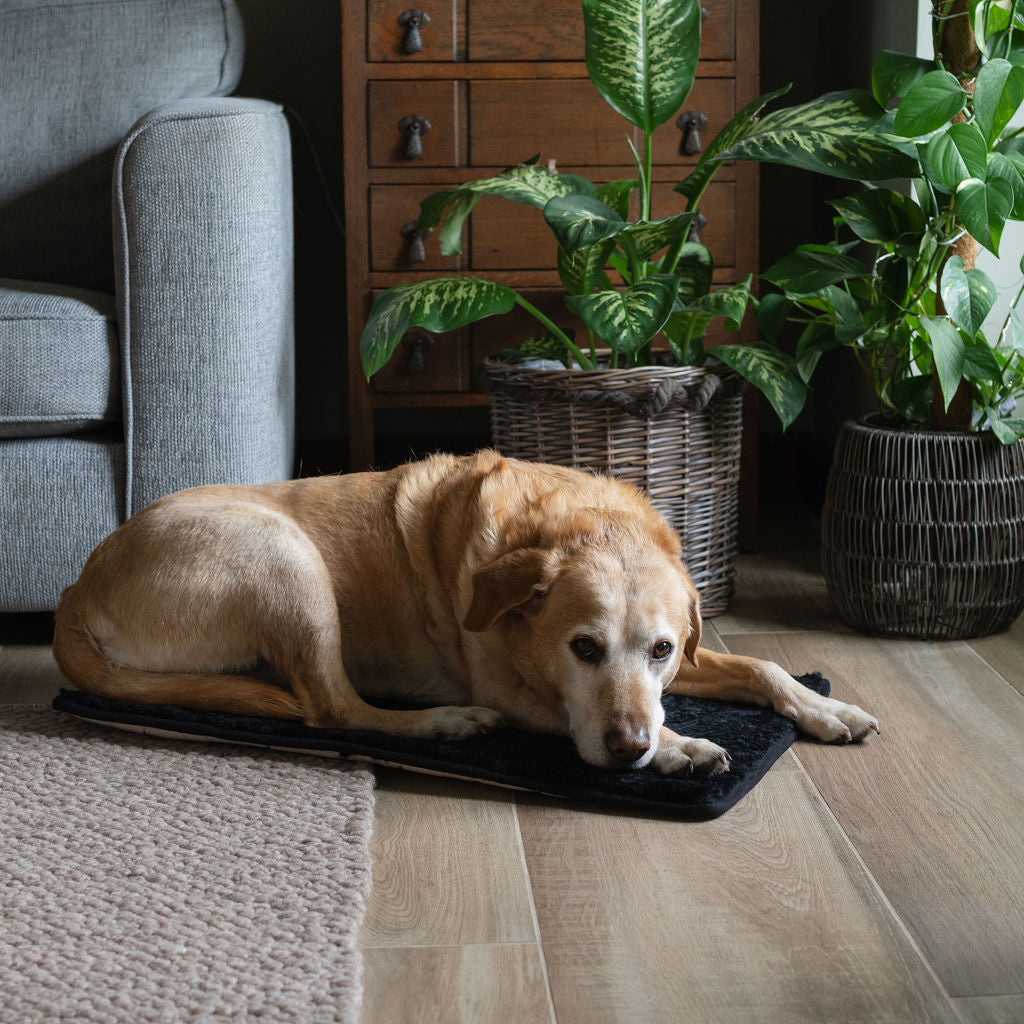 Petsl Rug Nz Black Rectangular Sheepskin Pet Rug – Arthur Cameron