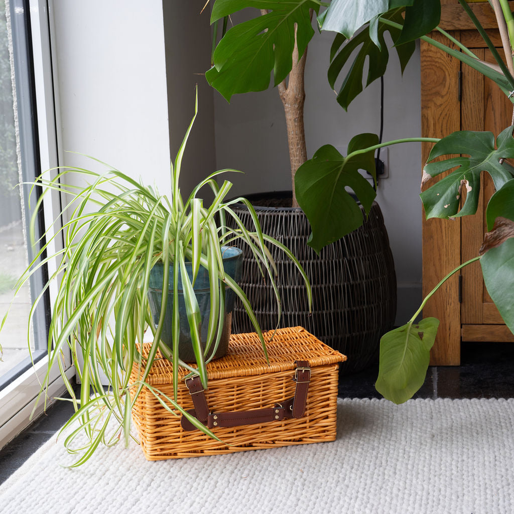 Beedon Natural Wicker Basket Hamper – Arthur Cameron