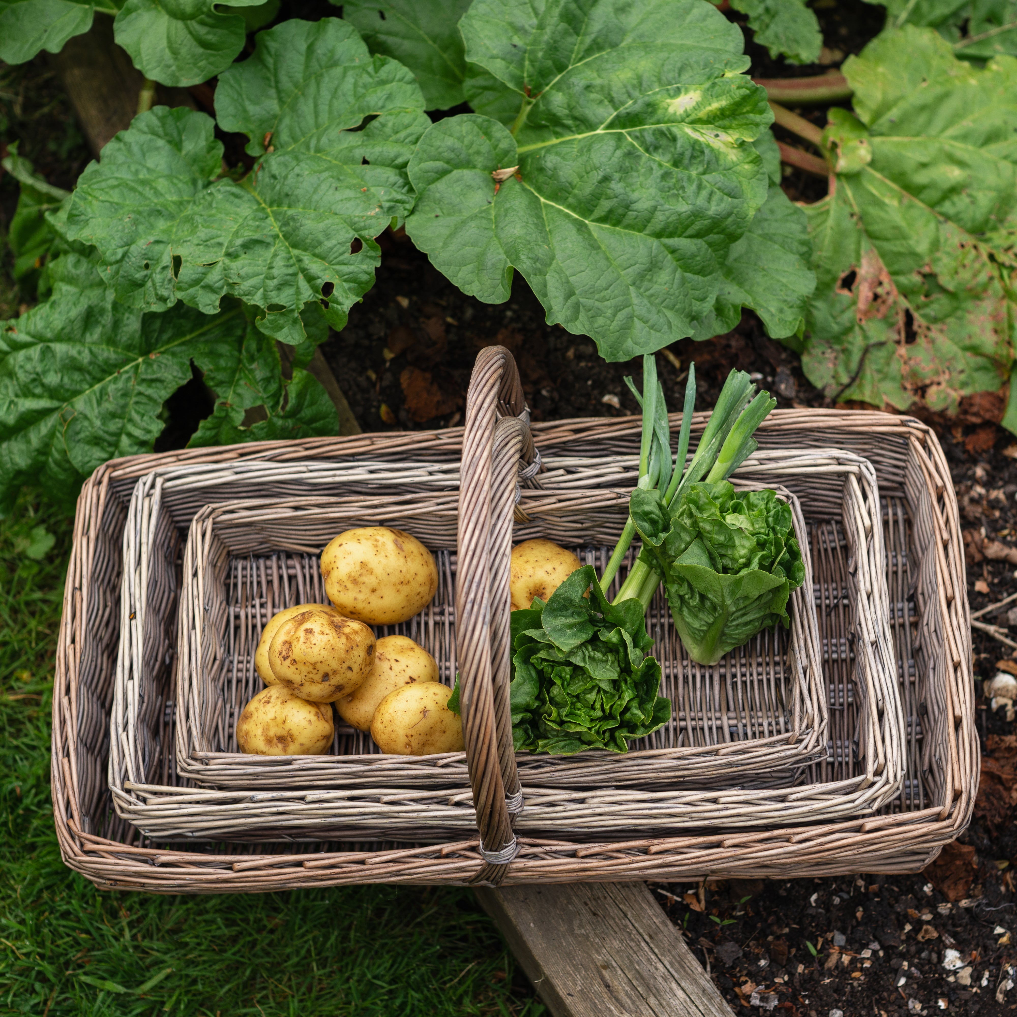 Light Grey Rectangular Wicker Trug Basket