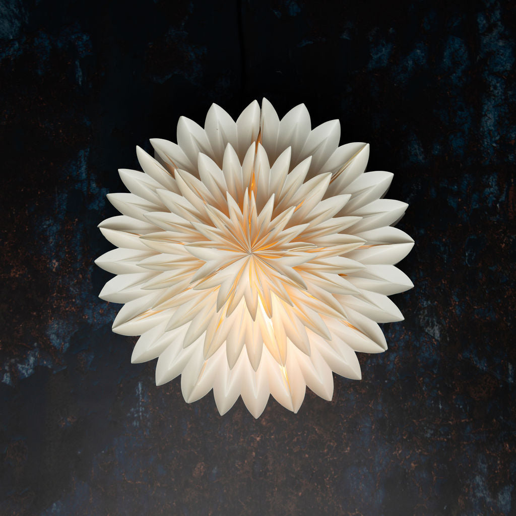 Asteraceae Wall Decoration - 40cm