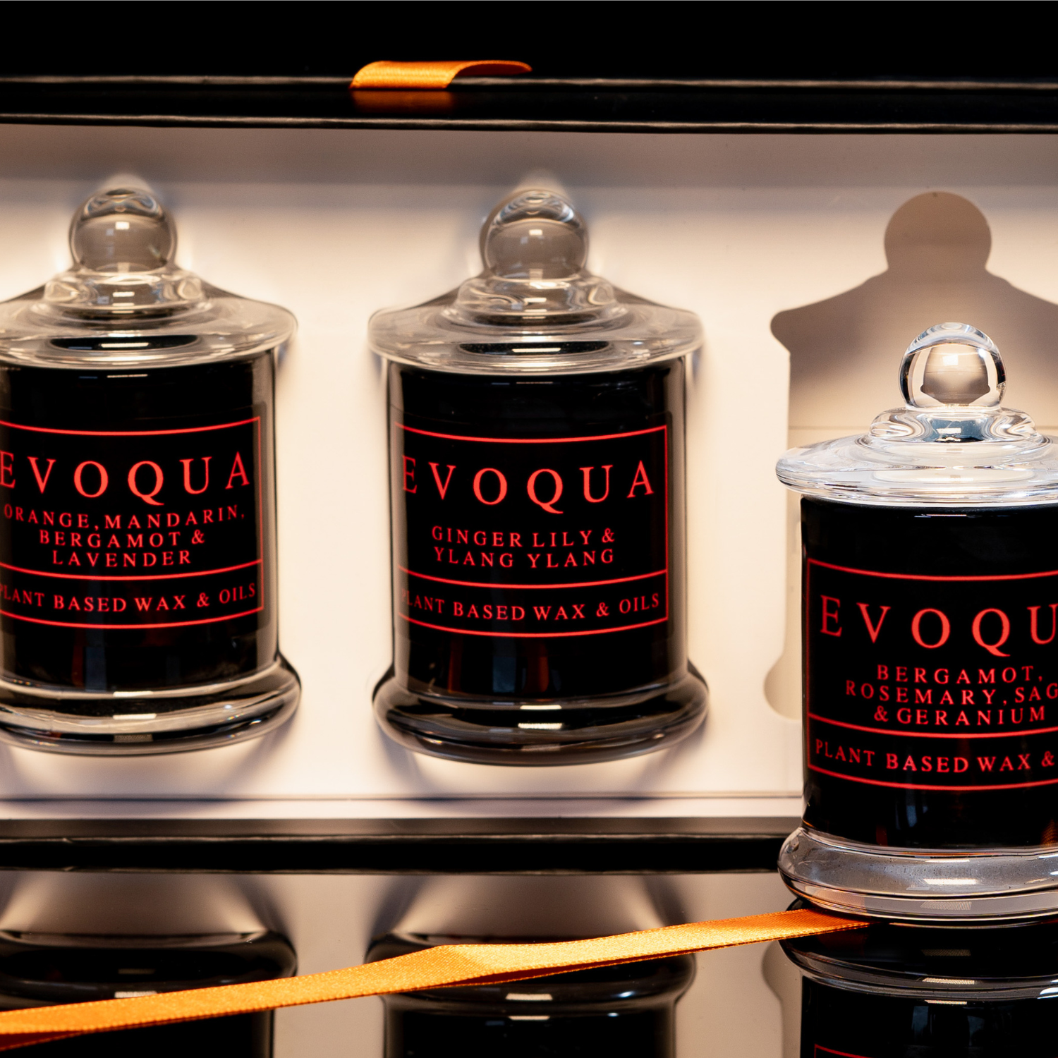 Evoqua 3 Piece Scented Candle Gift Set - Ginger Lily, Ylang-Ylang / Eucalyptus, Lemon, Mint / Mandarin, Grapefruit, Sage, Mint