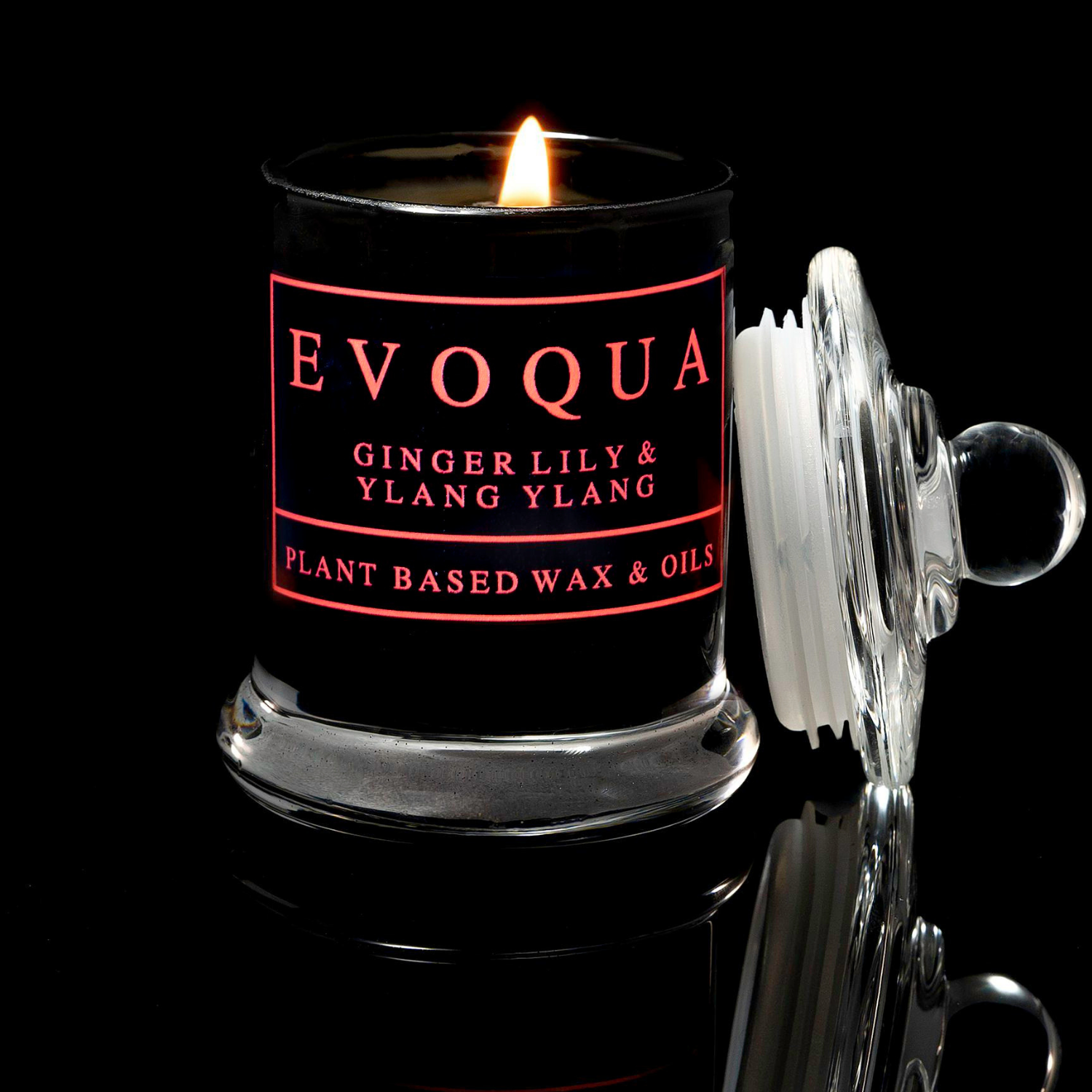 Evoqua 3 Piece Scented Candle Gift Set - Ginger Lily, Ylang-Ylang / Eucalyptus, Lemon, Mint / Mandarin, Grapefruit, Sage, Mint
