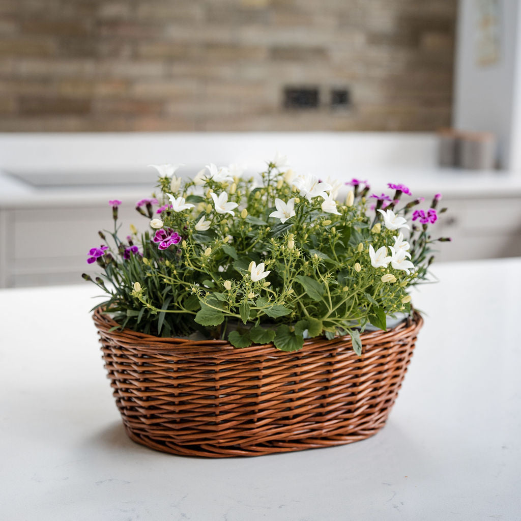 Distilled Oval Wicker Tabletop Planter