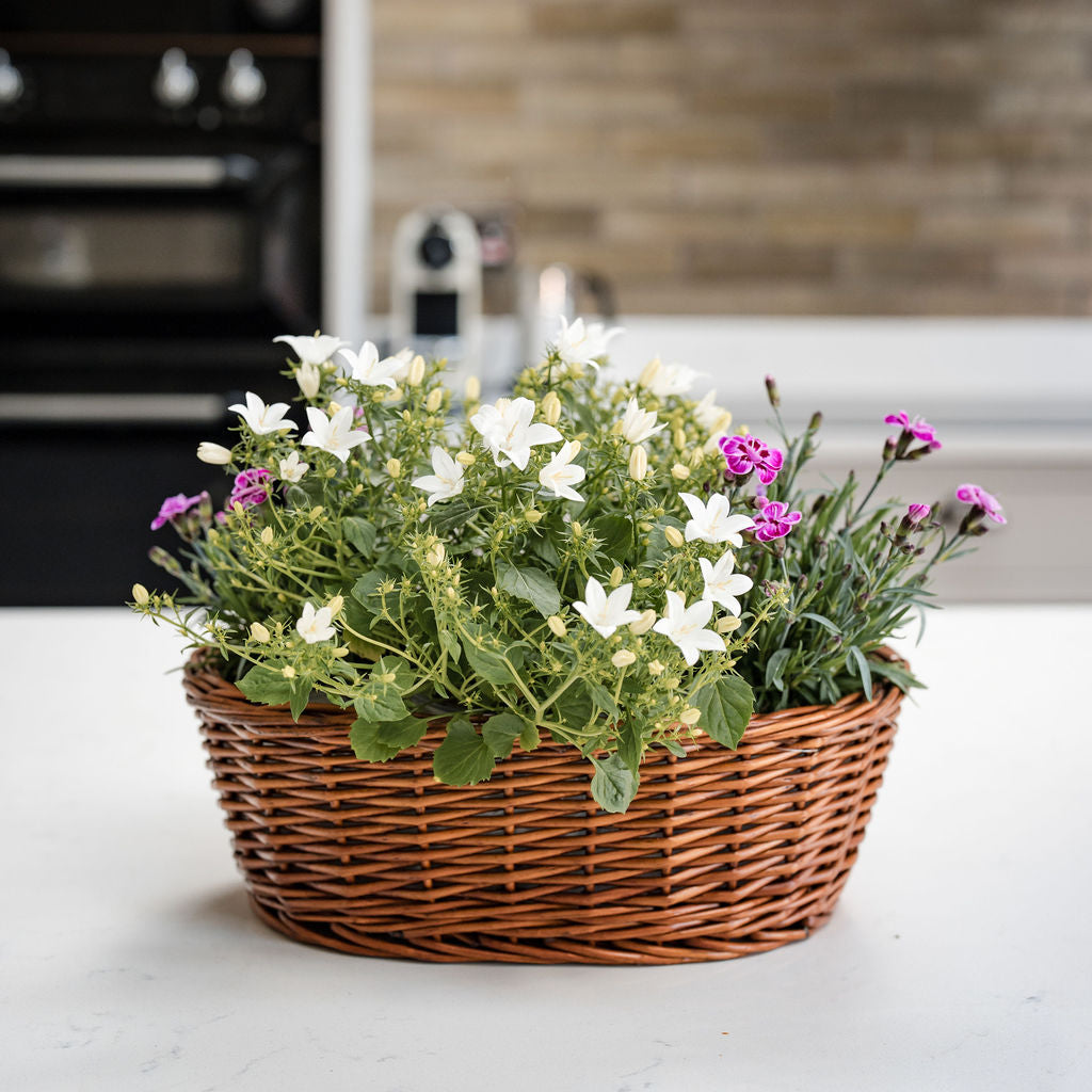 Distilled Oval Wicker Tabletop Planter