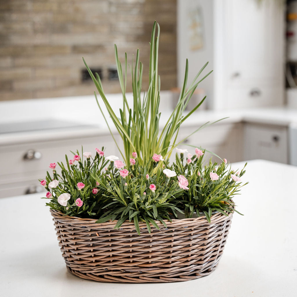 Antique Wash Oval Wicker Tabletop Planter