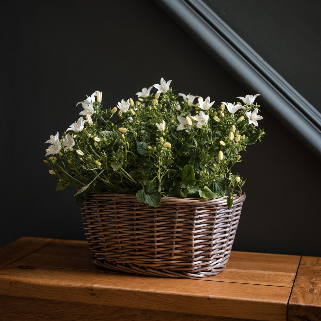 Antique Wash Oval Wicker Tabletop Planter