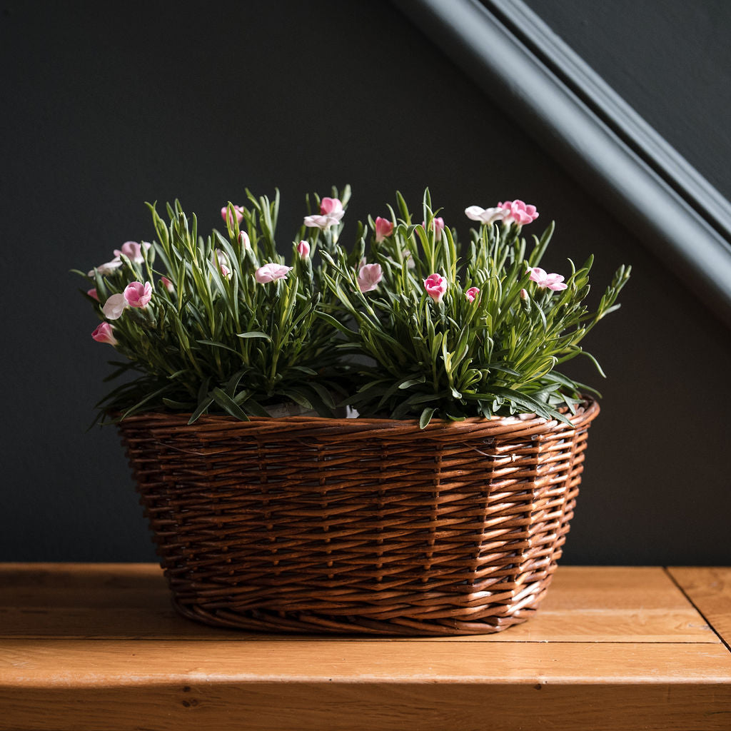 Distilled Oval Wicker Tabletop Planter