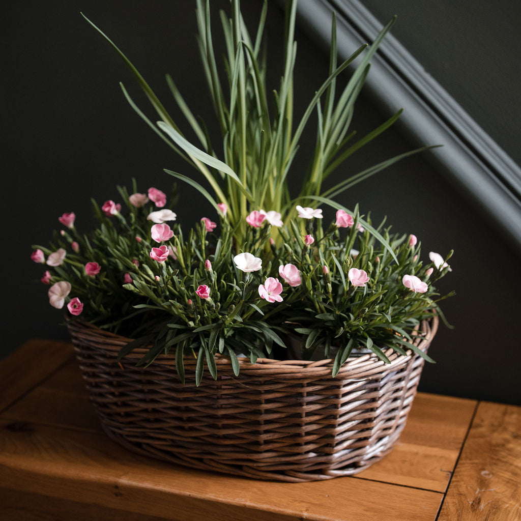 Antique Wash Oval Wicker Tabletop Planter