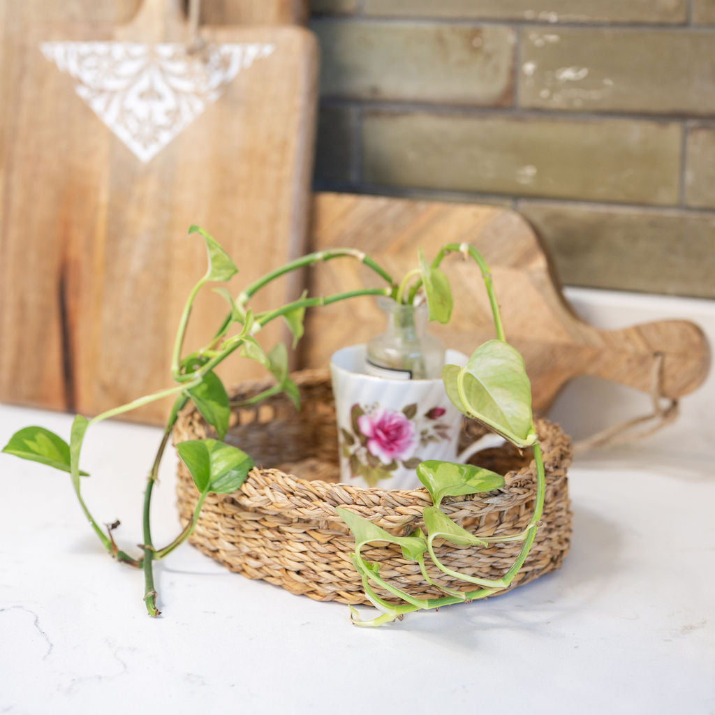 Halda Oval Seagrass Storage Tray