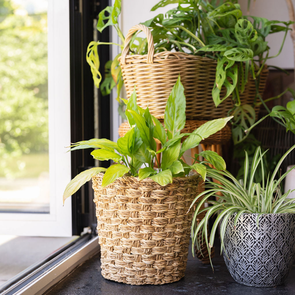 Feni Seagrass Round Planter