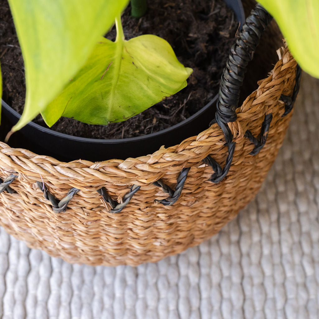 Haora Seagrass Storage Basket