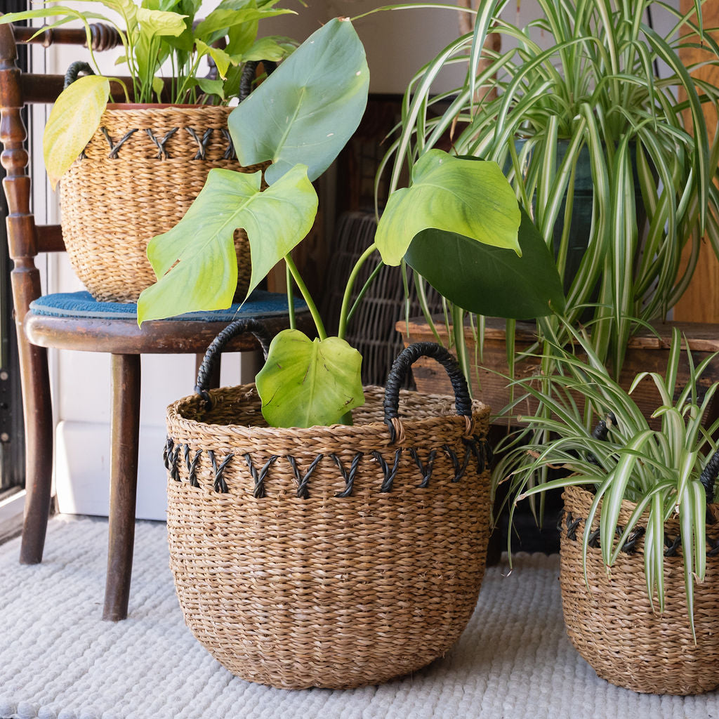 Haora Seagrass Storage Basket