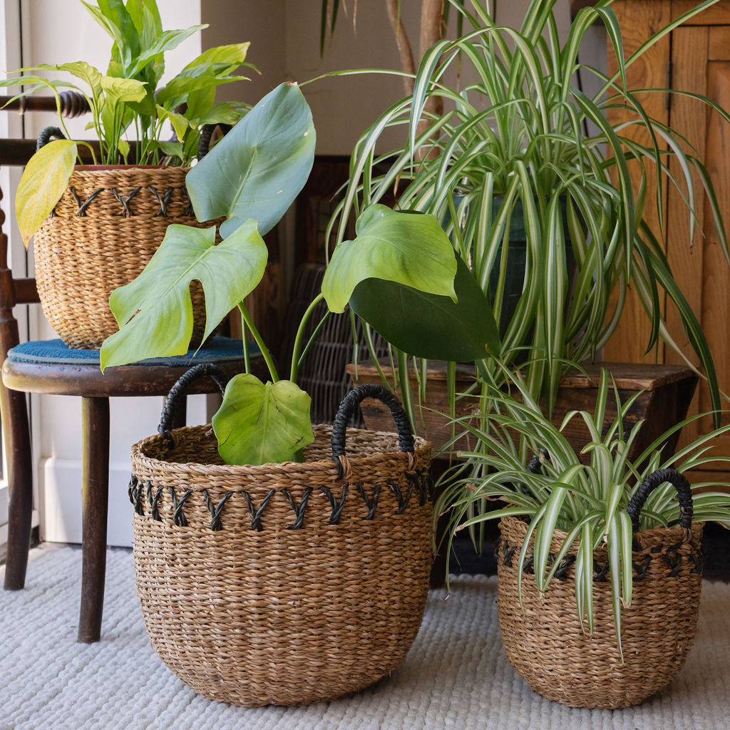 Haora Seagrass Storage Basket