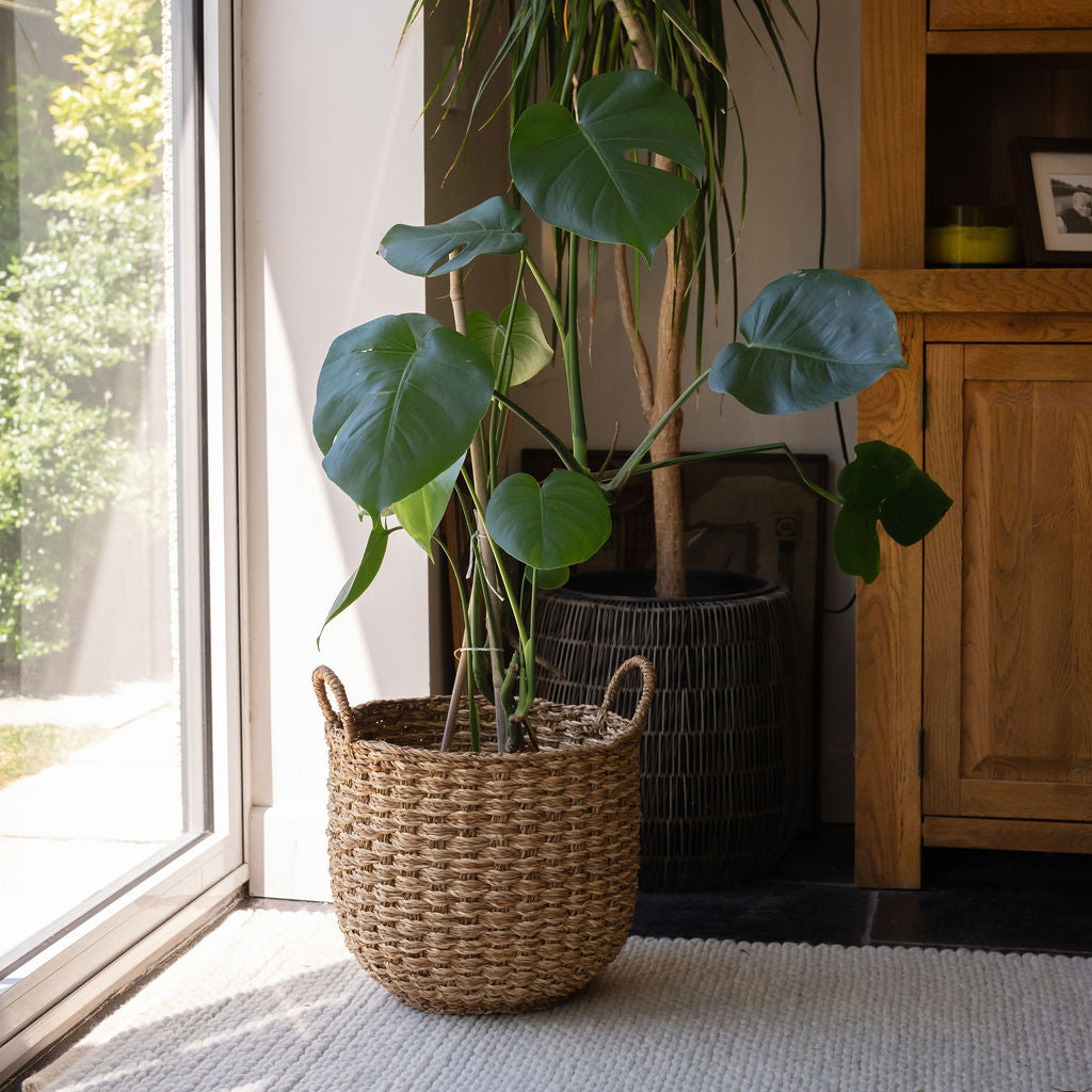 Banar Seagrass Round Basket