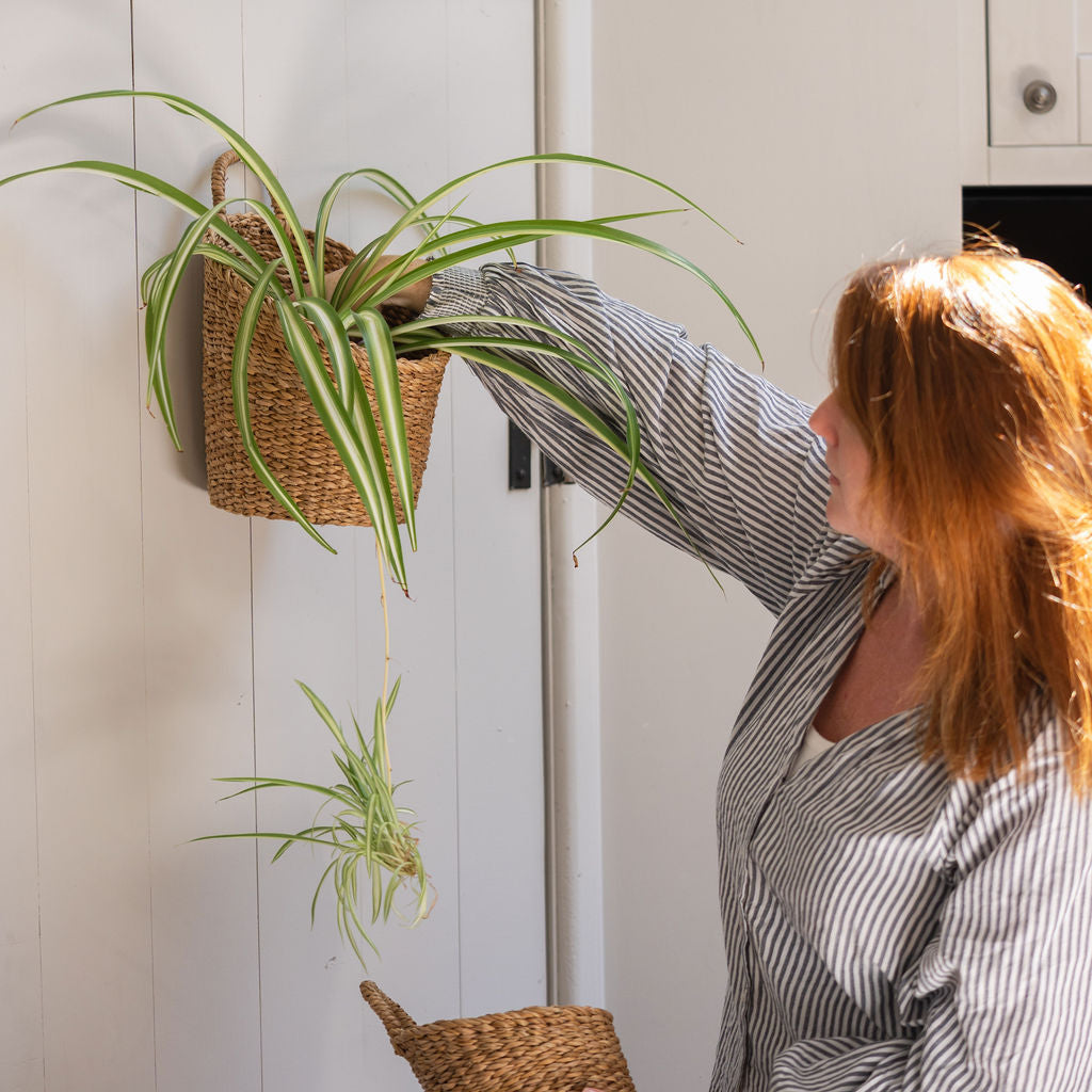 Kompo Seagrass Hanging Storage Basket