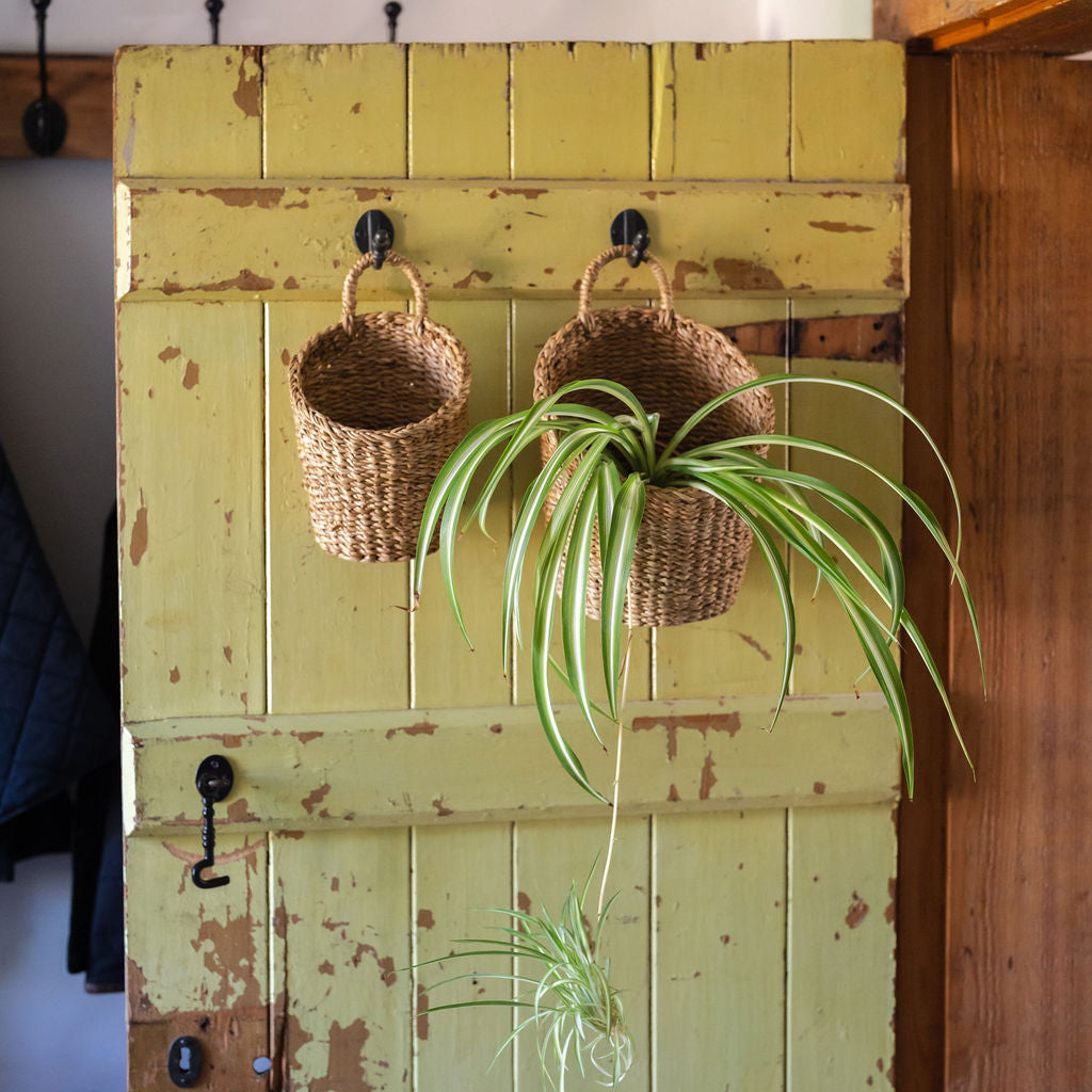 Kompo Natural Seagrass Woven Hanging Storage Basket – Arthur Cameron