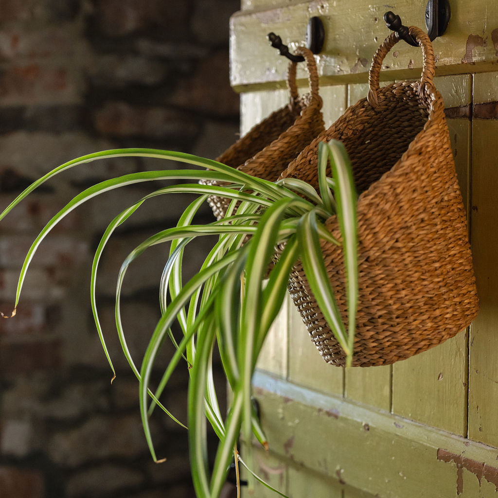 Kompo Seagrass Hanging Storage Basket