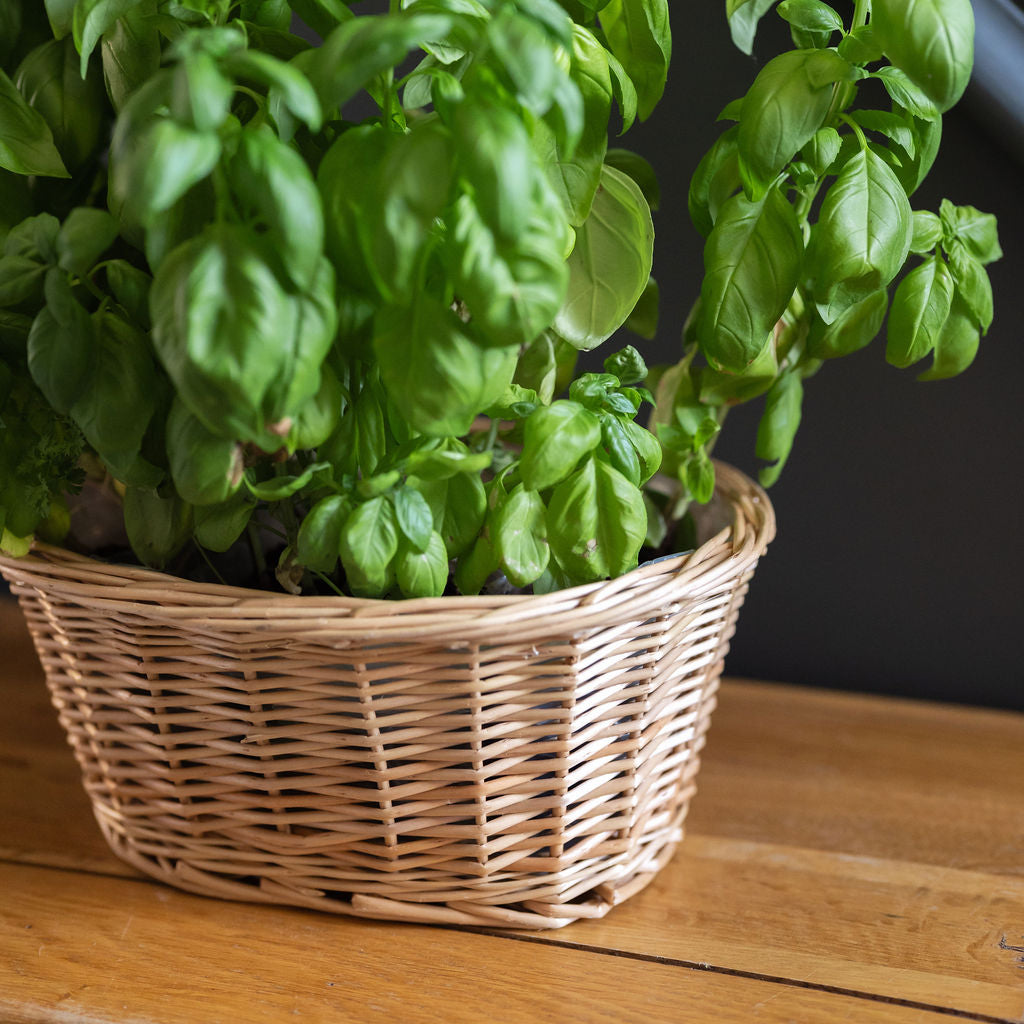 Natural Oval Wicker Tabletop Planter