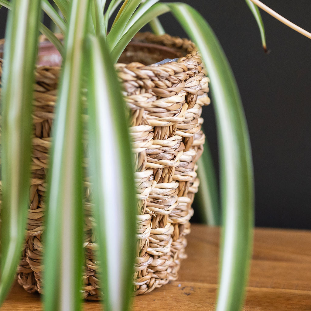 Feni Seagrass Round Planter