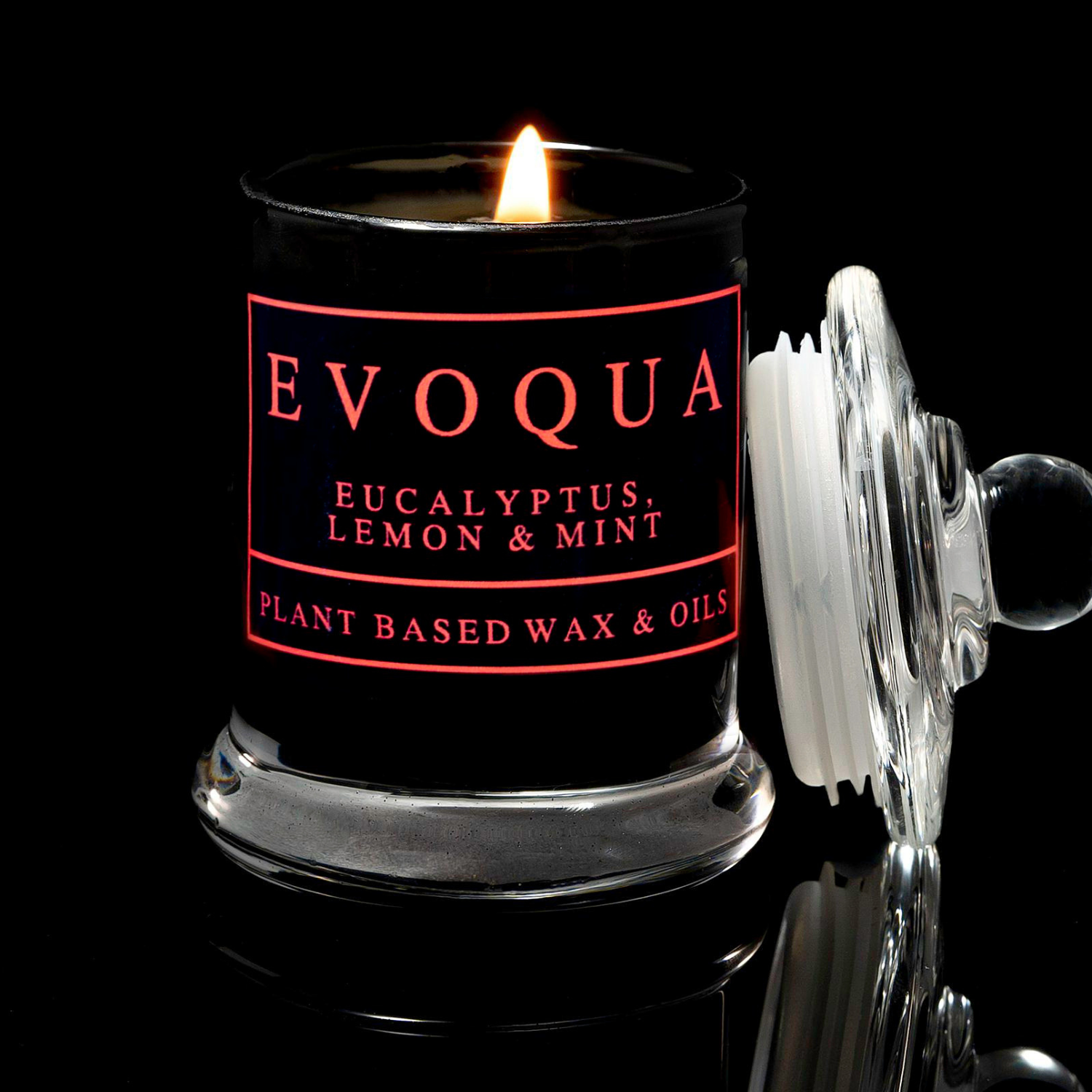 Evoqua 3 Piece Scented Candle Gift Set - Lavender, Clary Sage, Chamomile, Bergamot / Orange, Mandarin, Bergamot, Lavender / Eucalyptus, Lemon, Mint