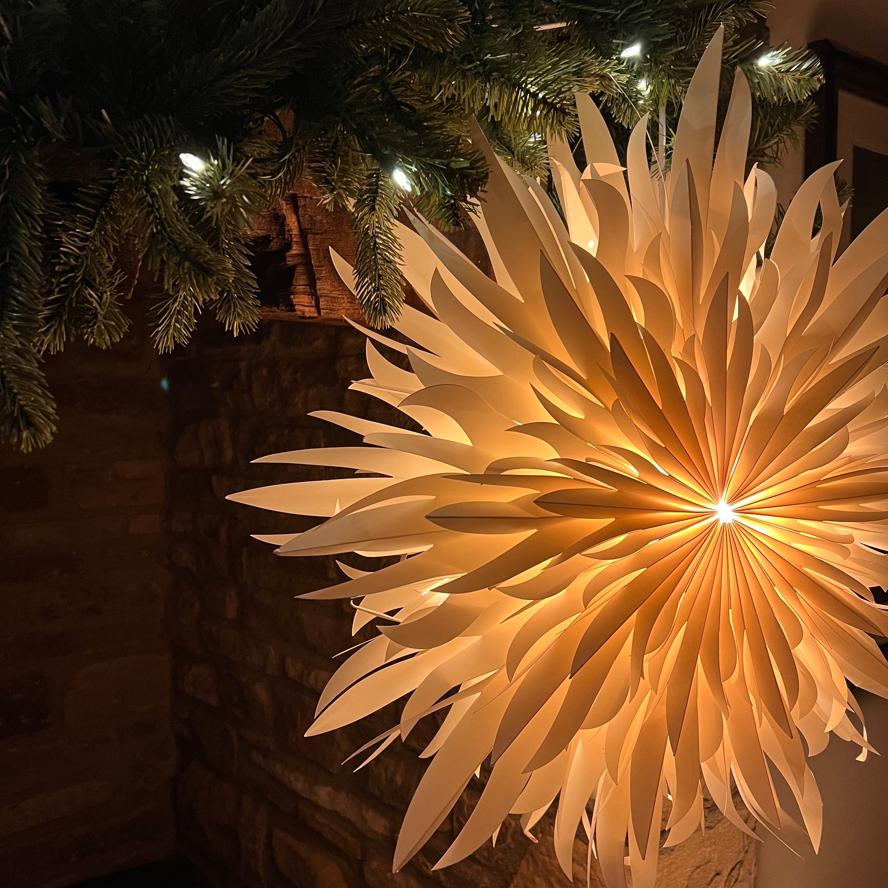 Giant Peony Wall Decoration - 70cm – Arthur Cameron