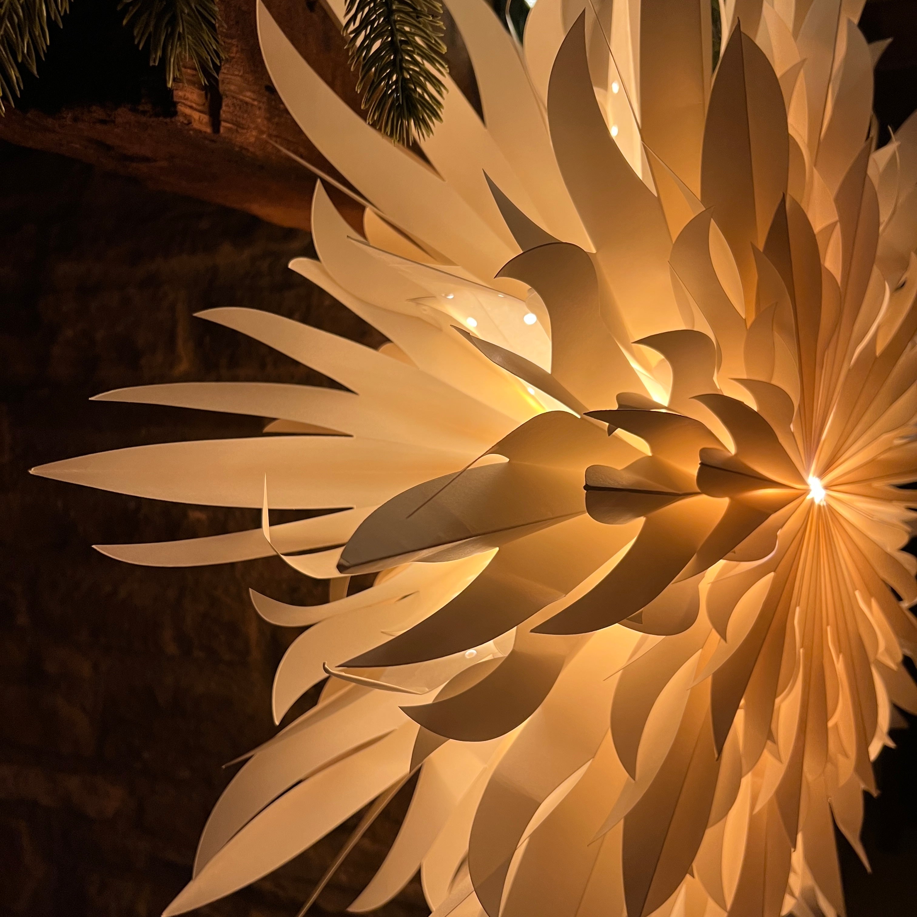 Giant Peony Wall Decoration - 70cm – Arthur Cameron