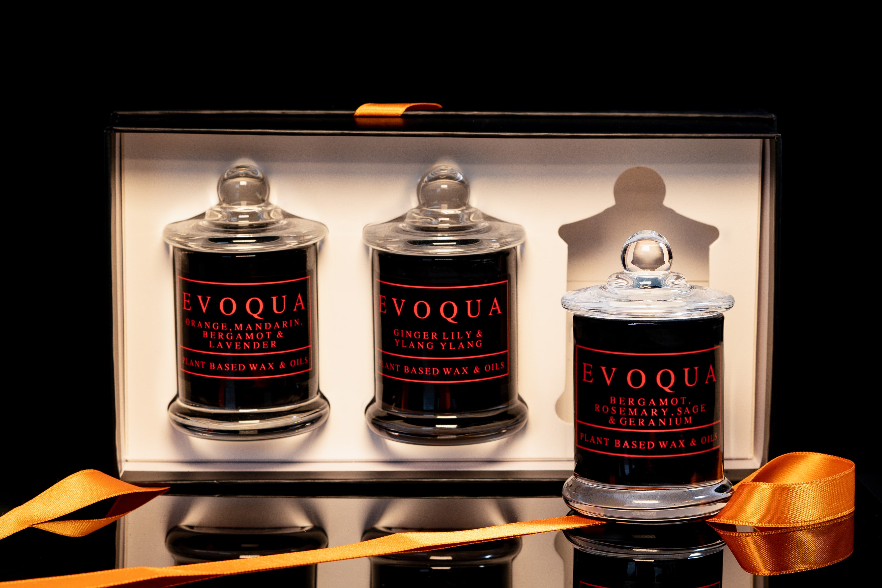 Evoqua 3 Piece Scented Candle Gift Set - Lavender, Clary Sage, Chamomile, Bergamot / Orange, Mandarin, Bergamot, Lavender / Eucalyptus, Lemon, Mint