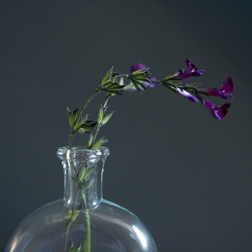 Kara, Single Stem Clear Glass Vase