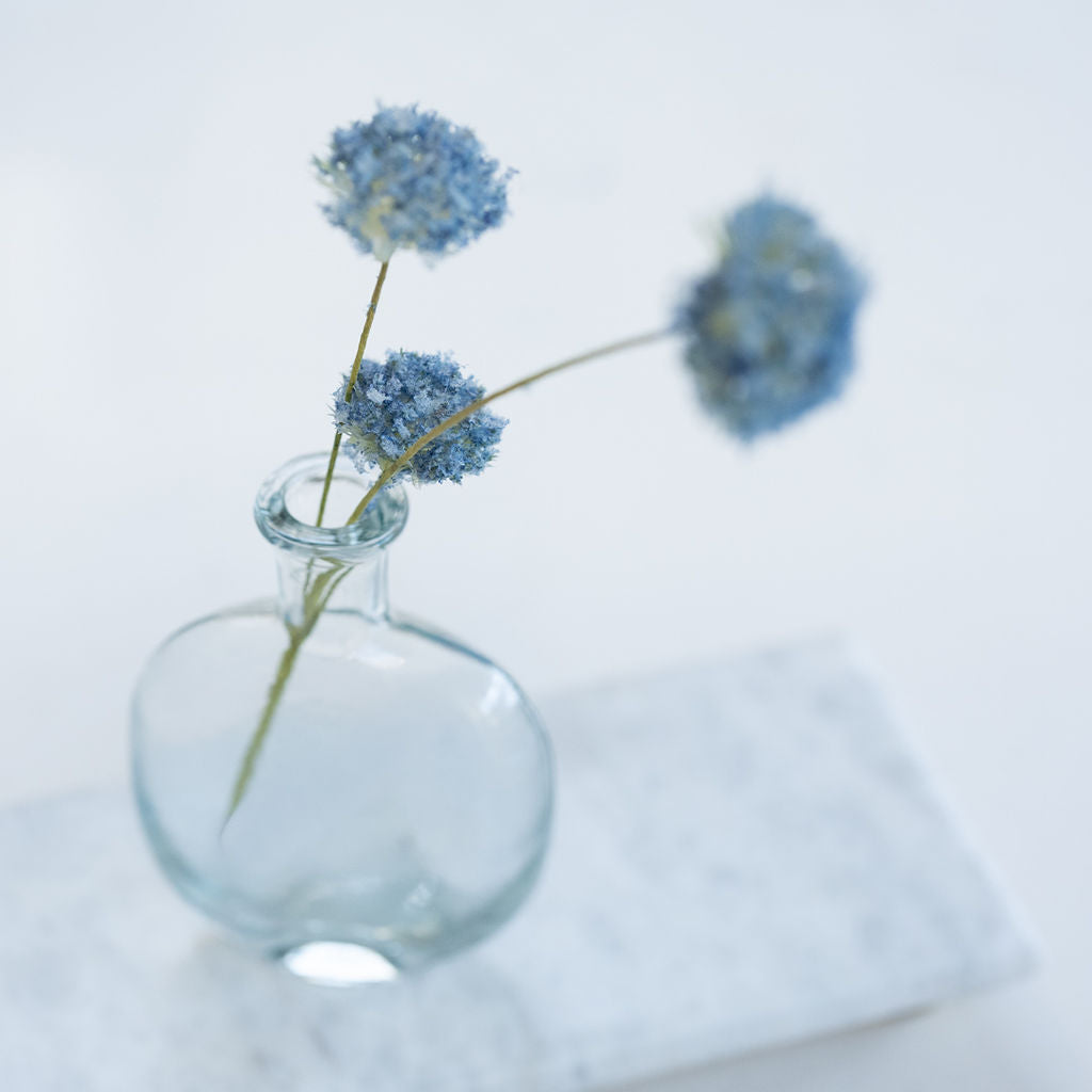 Kara, Single Stem Clear Glass Vase