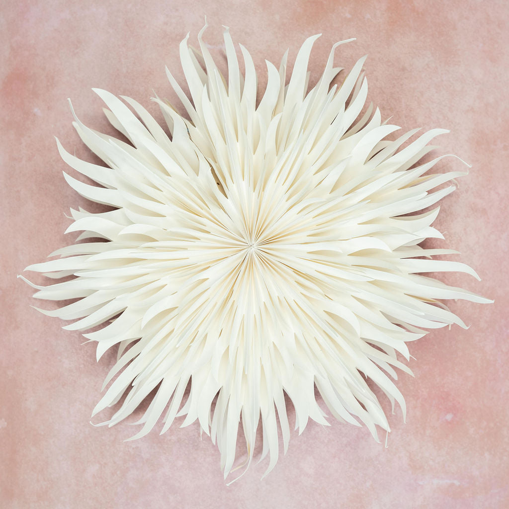 Giant Peony Wall Decoration - 70cm – Arthur Cameron