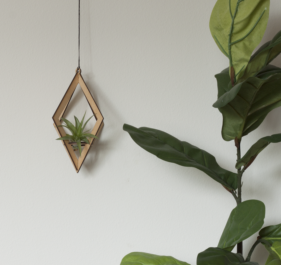 air plant holders uk Air Plant Hanger - Diamond