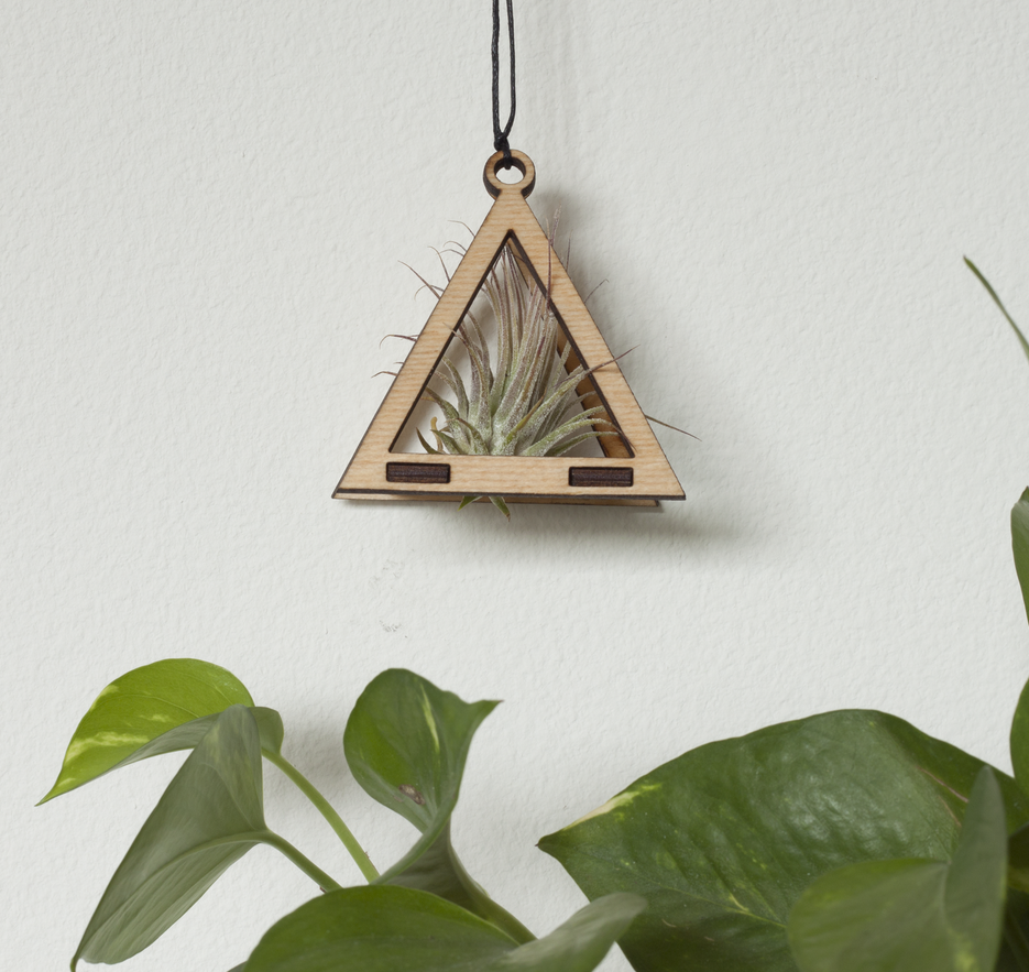 Air Plant Hanger - Triangle - 2 colours