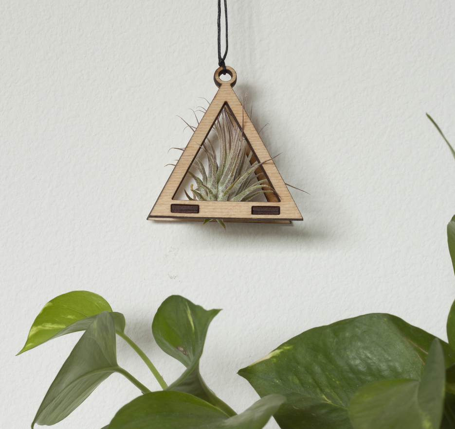 triangle plant hanger Air Plant Hanger - Triangle